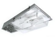 LL 306 D A